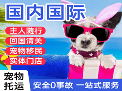 丹东空运国际宠物托运 【国